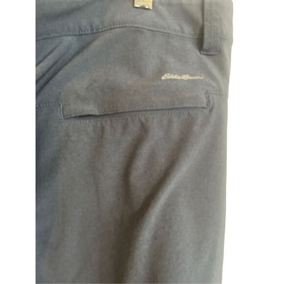 Eddie Bauer Mens Gray FlexiIon Outdoor Shorts Size 35 assistant men’s blue - Picture 6 of 9